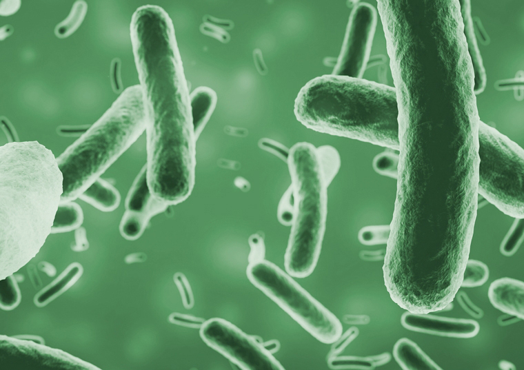 I batteri si moltiplicano maggiormente in presenza di biofilm